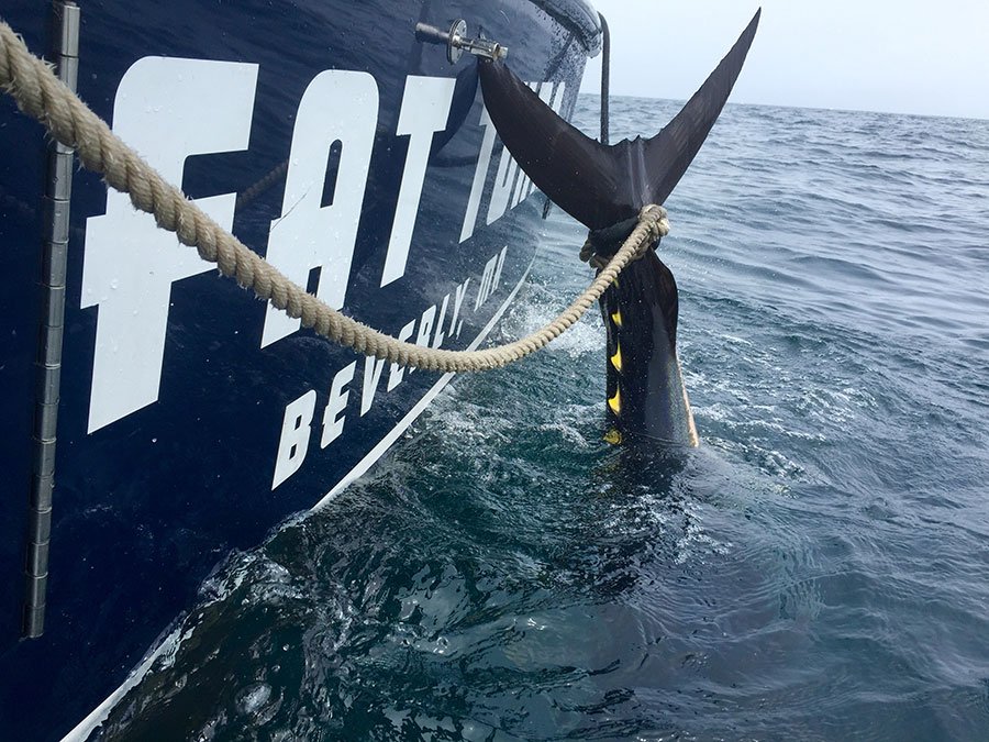 Groundfish Charter