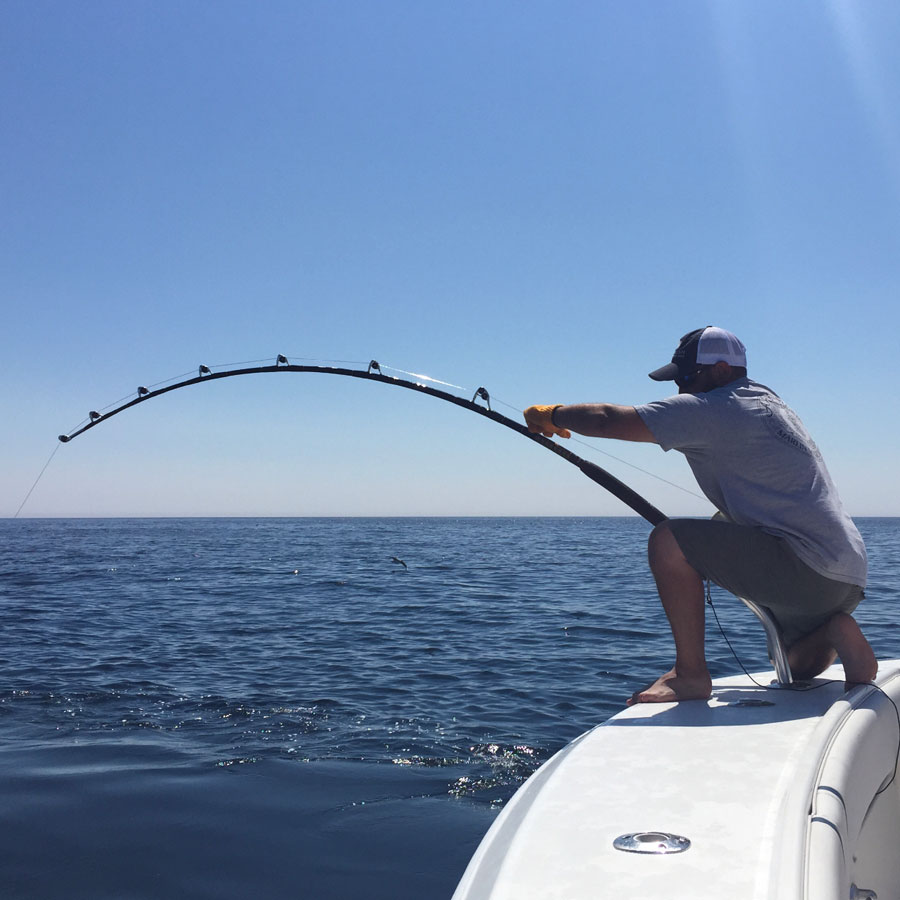 GROUNDFISH CHARTER - FAT TUNA CHARTERS