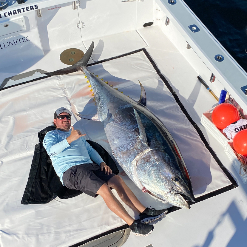 BLUEFIN TUNA CHARTER - FAT TUNA CHARTERS